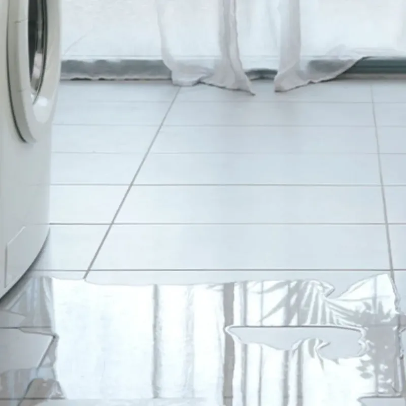 Appliance Leak Cleanup in Tiburon, CA